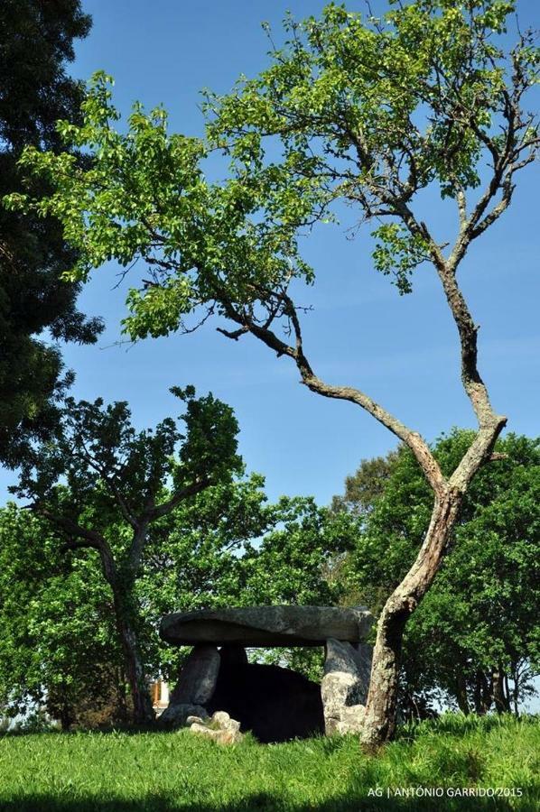 Vila Praia de Âncora Angelas - Casa Da Eira מראה חיצוני תמונה